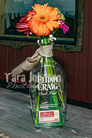 Michael & Brittany - Complete [Color] - TJP (13 of 633)
