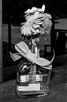 Michael & Brittany - Complete [BW] - TJP (14 of 633)