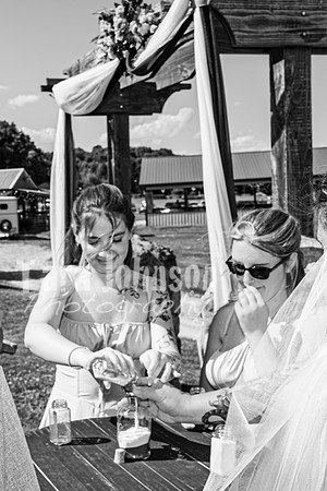 Michael & Brittany - Complete [BW] - TJP (126 of 633)