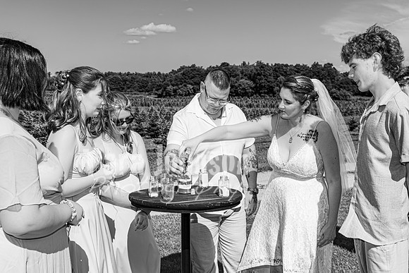 Michael & Brittany - Complete [BW] - TJP (135 of 633)