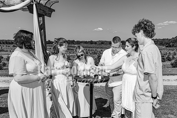 Michael & Brittany - Complete [BW] - TJP (140 of 633)