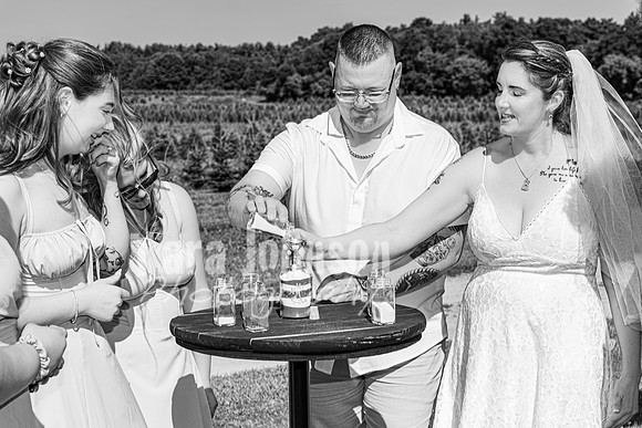Michael & Brittany - Complete [BW] - TJP (141 of 633)