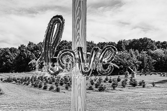 Michael & Brittany - Complete [BW] - TJP (214 of 633)