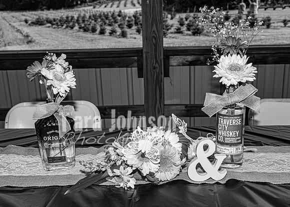 Michael & Brittany - Complete [BW] - TJP (219 of 633)
