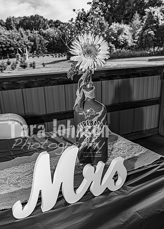 Michael & Brittany - Complete [BW] - TJP (218 of 633)