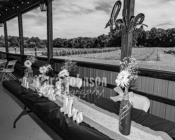 Michael & Brittany - Complete [BW] - TJP (222 of 633)