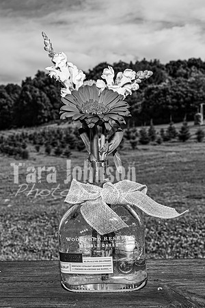 Michael & Brittany - Complete [BW] - TJP (226 of 633)
