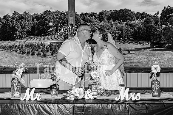 Michael & Brittany - Complete [BW] - TJP (236 of 633)