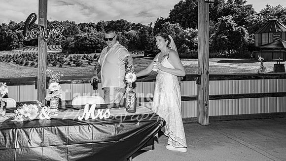 Michael & Brittany - Complete [BW] - TJP (233 of 633)
