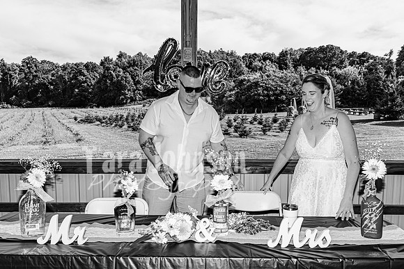 Michael & Brittany - Complete [BW] - TJP (235 of 633)