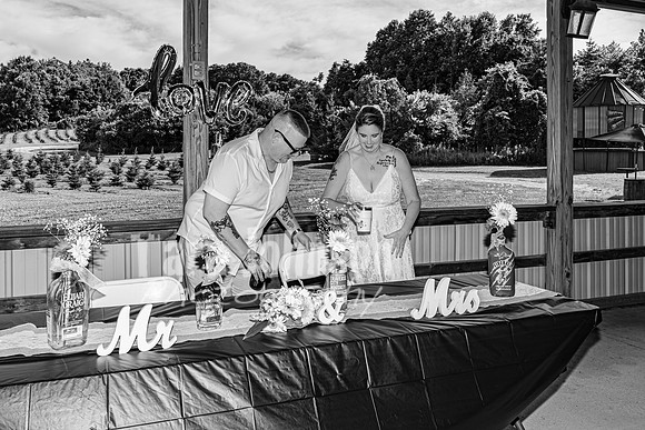 Michael & Brittany - Complete [BW] - TJP (234 of 633)