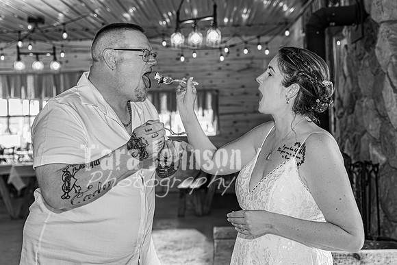 Michael & Brittany - Complete [BW] - TJP (352 of 633)