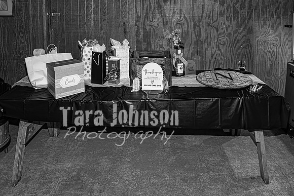 Michael & Brittany - Complete [BW] - TJP (357 of 633)