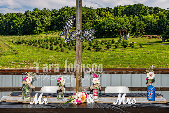 Michael & Brittany - Complete [Color] - TJP (220 of 633)
