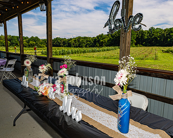 Michael & Brittany - Complete [Color] - TJP (222 of 633)
