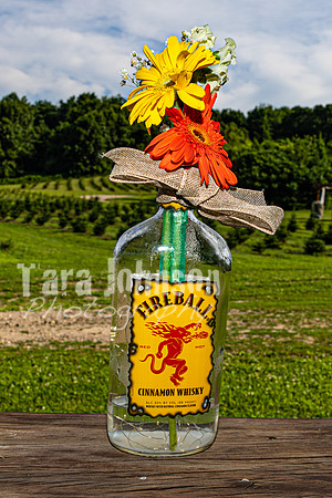 Michael & Brittany - Complete [Color] - TJP (227 of 633)