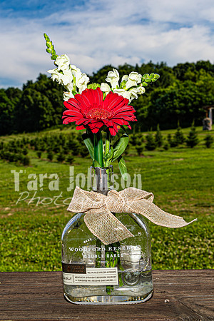 Michael & Brittany - Complete [Color] - TJP (226 of 633)