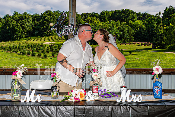 Michael & Brittany - Complete [Color] - TJP (236 of 633)