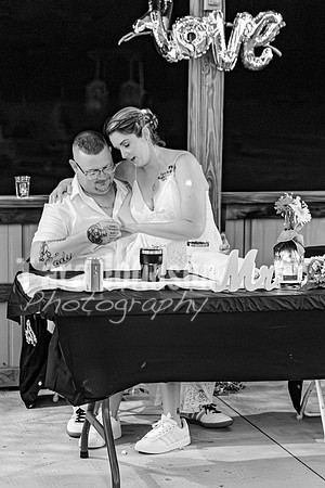 Michael & Brittany - Complete [BW] - TJP (557 of 633)