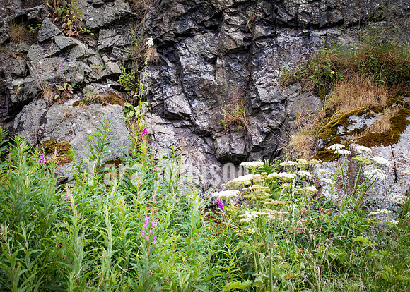 Edinburgh - Scotland Trip (84 of 177)