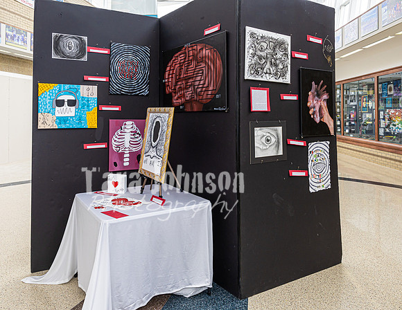 2023 IAW DP Visual Art Exhibition - Portfolio - TJP (10 of 25)