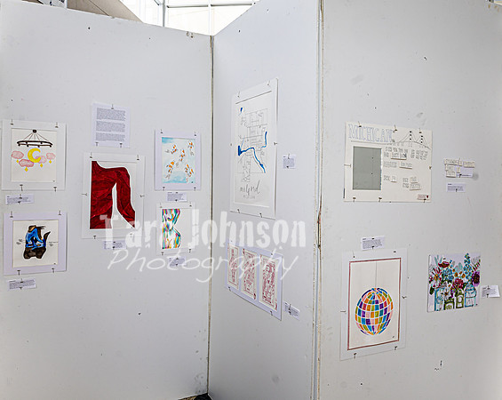 2023 IAW DP Visual Art Exhibition - Portfolio - TJP (19 of 25)