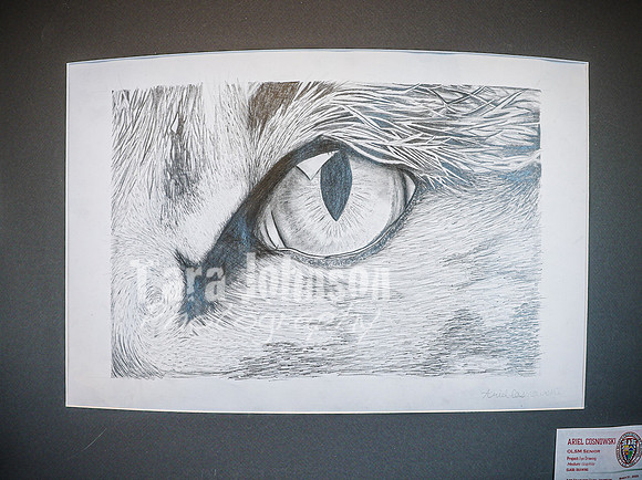 2025 OLSM Art Show - Art Selections - TJP (29 of 237)