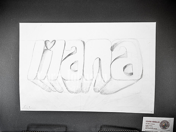 2025 OLSM Art Show - Art Selections - TJP (53 of 237)