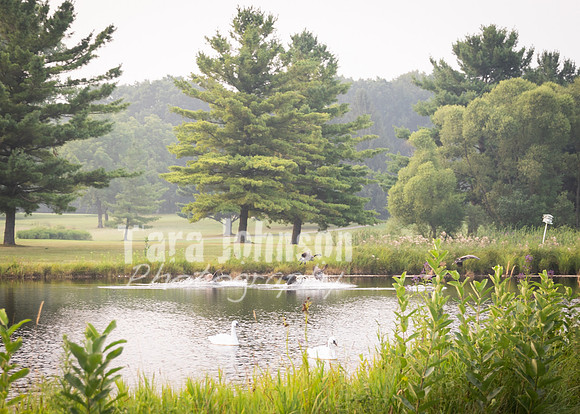 Andy & Stacy C Wedding 26 - Venue (27 of 27)
