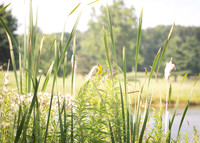 Andy & Stacy C Wedding 26 - Venue (15 of 27)
