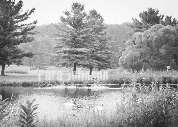 Andy & Stacy C Wedding 26 - Full Collection B&W (175 of 202)
