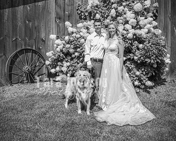 Doug & Bridget Law - Complete - BW - TJP (155 of 551)
