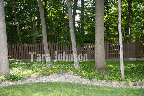 Cassar Family Photos - Unsorted, Uncropped and Unedited (2 of 149)