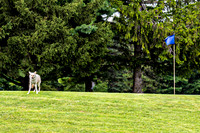 Stacy & Andy - Venue - TJP (17 of 64)