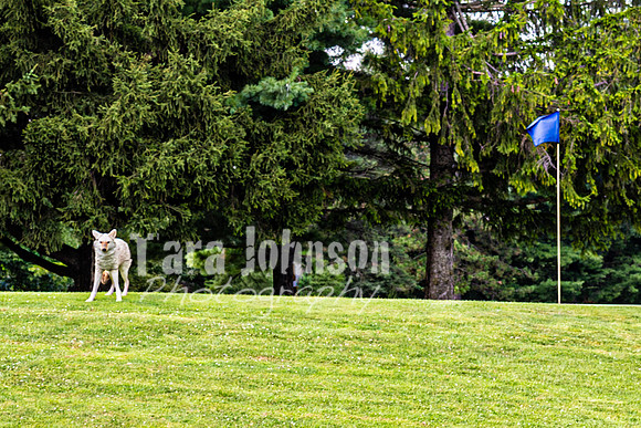 Stacy & Andy - Venue - TJP (17 of 64)