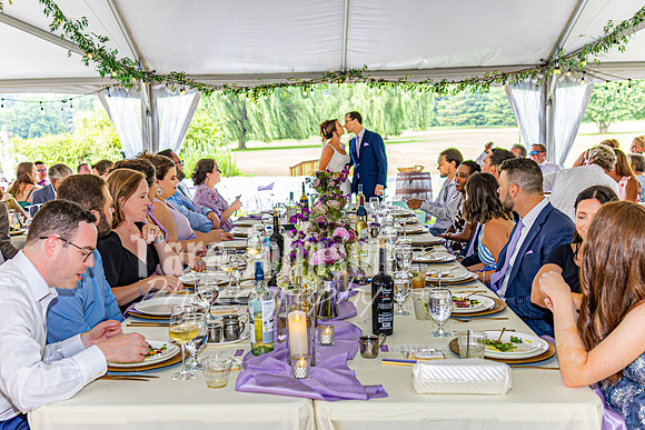 Stacy & Andy - The Reception - TJP (9 of 56)