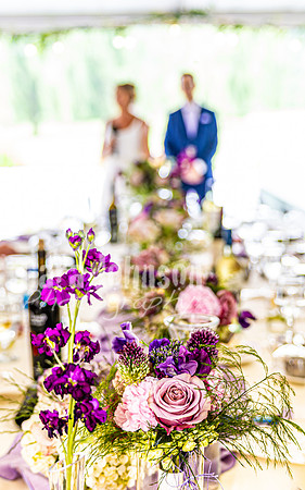 Stacy & Andy - The Reception - TJP (15 of 56)