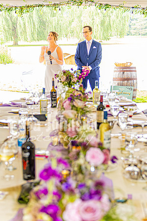 Stacy & Andy - The Reception - TJP (18 of 56)