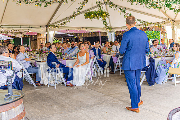 Stacy & Andy - The Reception - TJP (27 of 56)