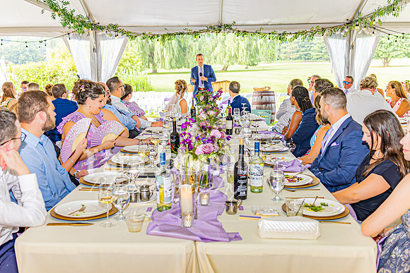 Stacy & Andy - The Reception - TJP (30 of 56)