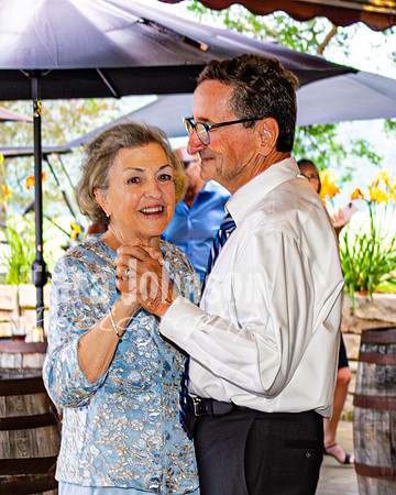 Stacy & Andy - The Party - TJP (7 of 115)