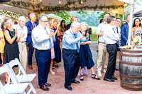Stacy & Andy - The Party - TJP (1 of 115)