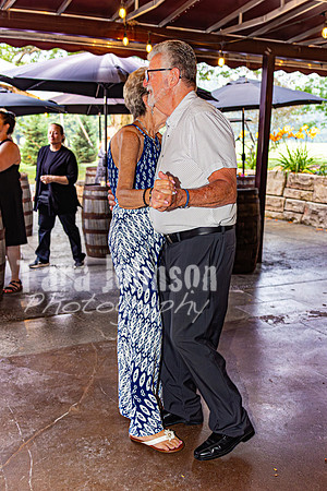 Stacy & Andy - The Party - TJP (13 of 115)