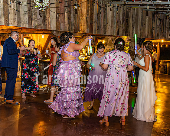 Stacy & Andy - The Party - TJP (95 of 115)
