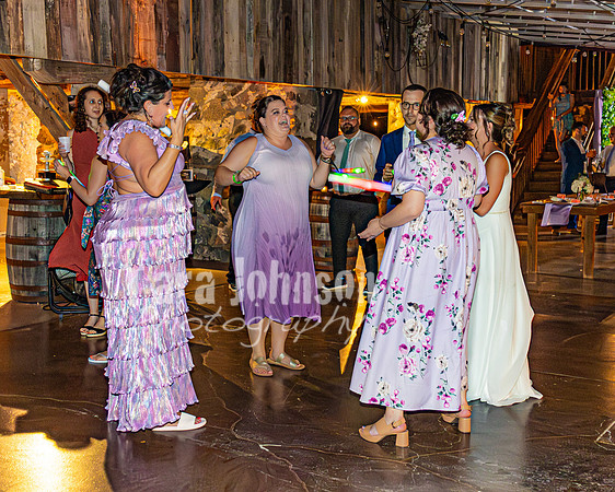 Stacy & Andy - The Party - TJP (93 of 115)