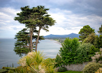 Killiney Hill Hike - Full Collection (16 of 77)