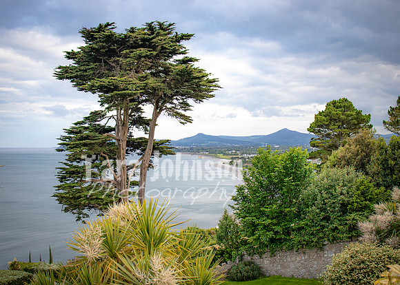 Killiney Hill Hike - Full Collection (16 of 77)