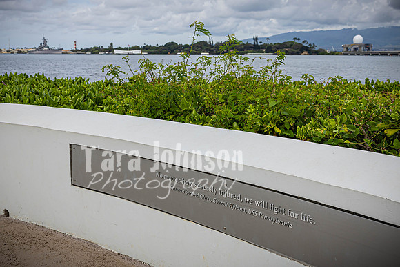 SAHT - Pearl Harbor - TJP (8 of 31)