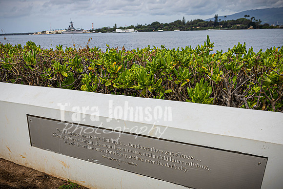 SAHT - Pearl Harbor - TJP (10 of 31)