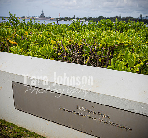 SAHT - Pearl Harbor - TJP (19 of 31)